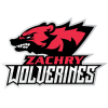 Back to Zachry homepage